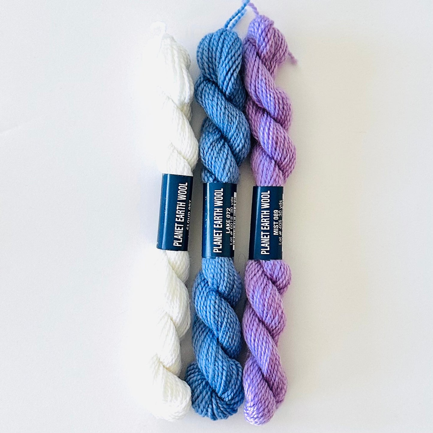 Votes for Women Sash/Strap